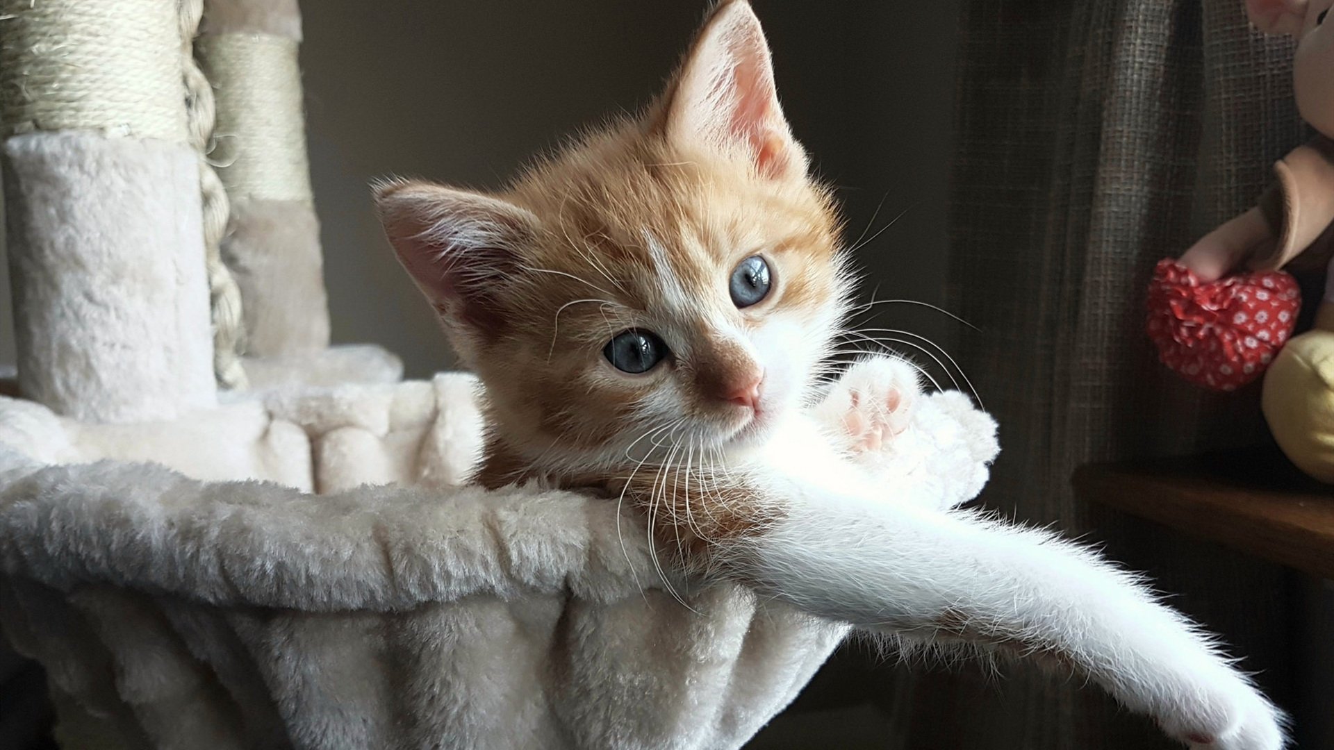 雷火电竞简介-弗拉霍维奇，从尤文弃子到曼城梦魇，一己之力改写南美足球叙事