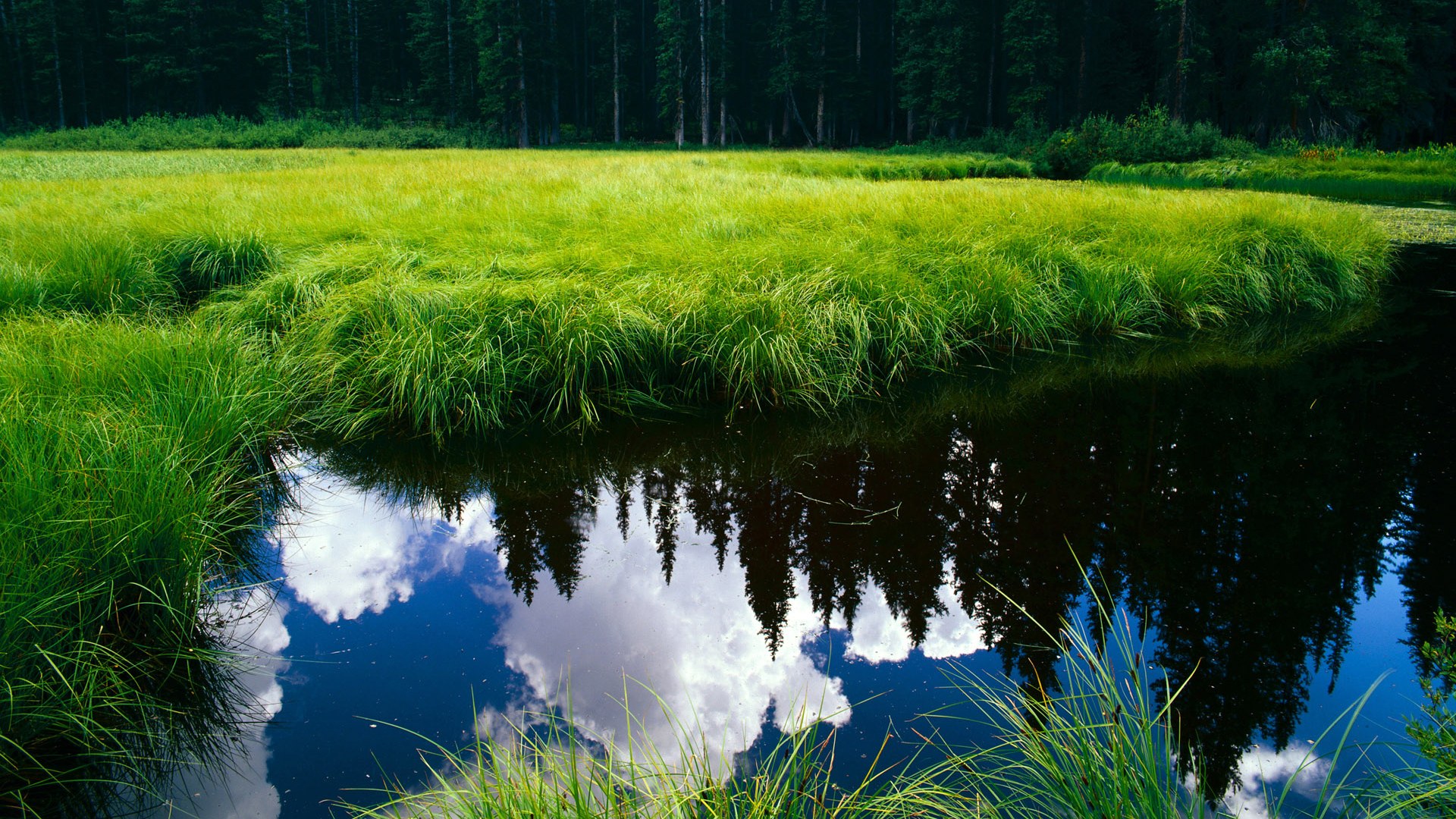 雷火电竞app-唯一性的光谱，从恩比德的王座到深圳队的铁锁