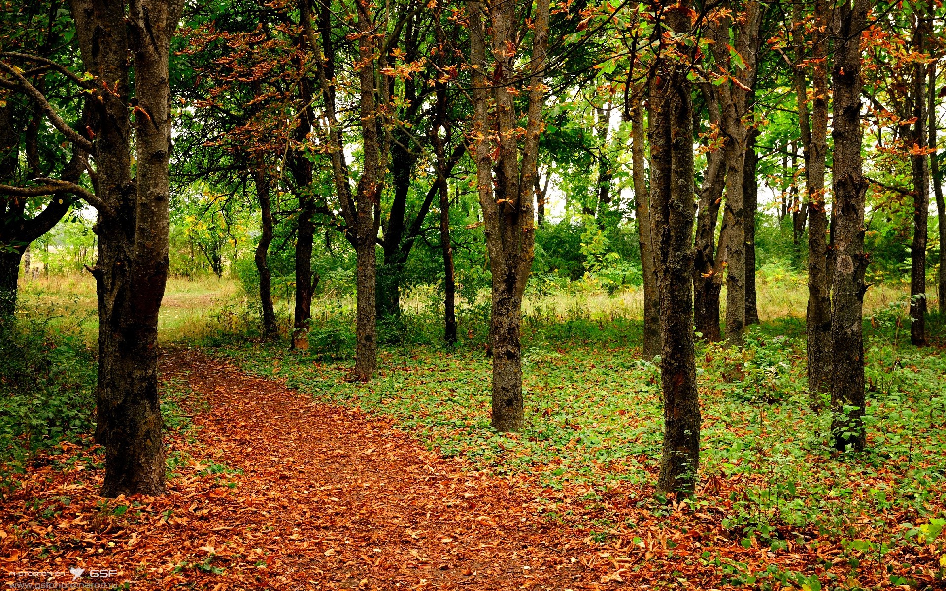 冷锋过境,当乔治的寒霜时刻,冻结老鹰的翅膀