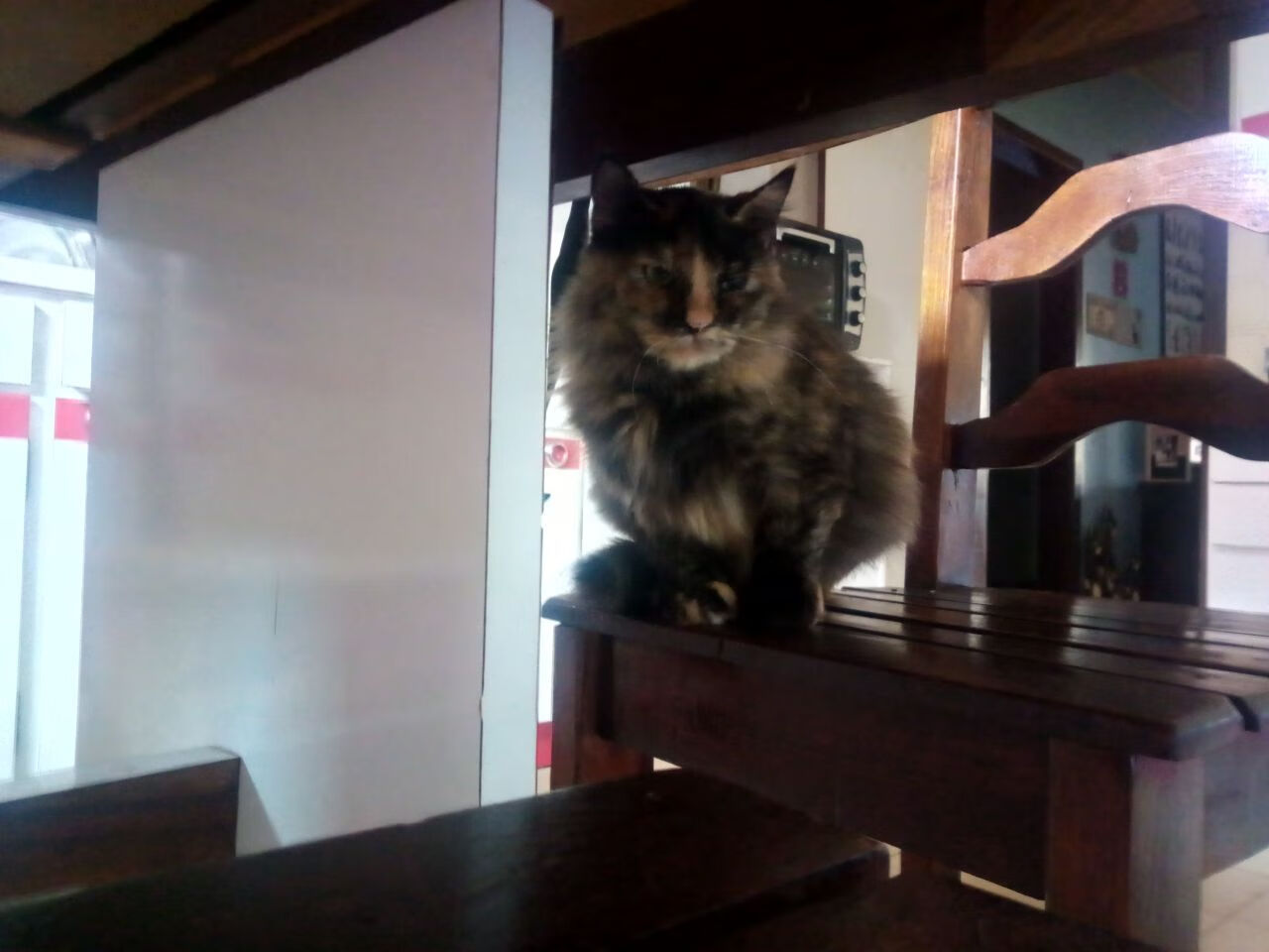 战术教科书与节奏革命，基耶萨的完美示范与伊拉克节奏如何重塑国际米兰