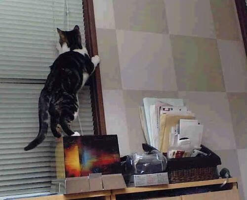 雷火电竞充值-东方启示录，当富安健洋的爆发照见委内瑞拉的神奇翻盘