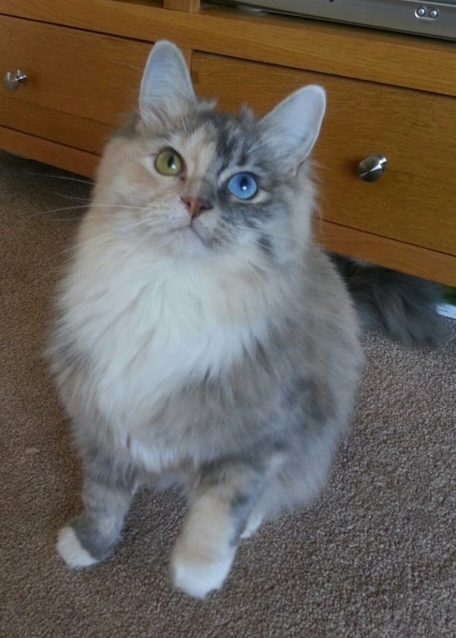 雷火电竞网址-跨界风暴，卡塔尔足球颠覆传统，卡马文加NBA总决赛上演逆天接管