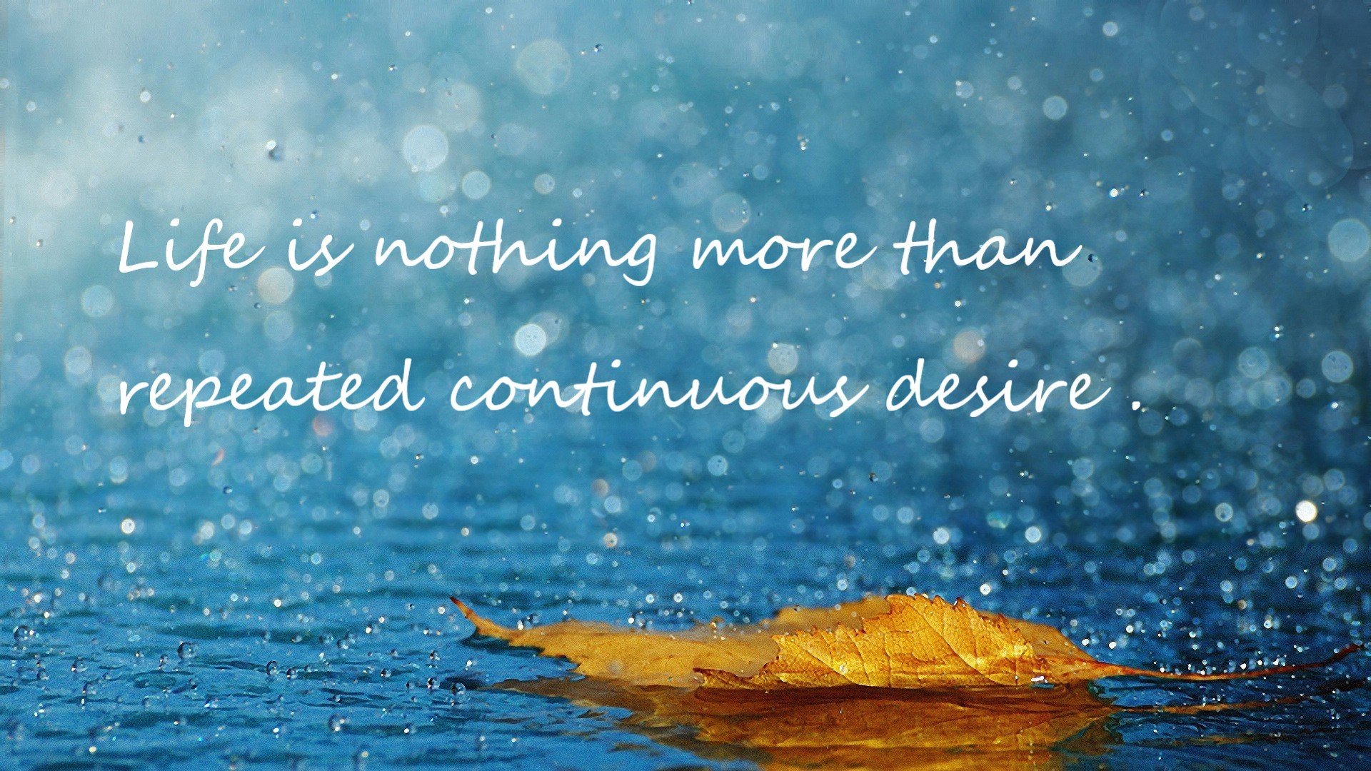 北非之刃,蔚蓝之殇,当格列兹曼的星光遇上阿尔及利亚的风暴