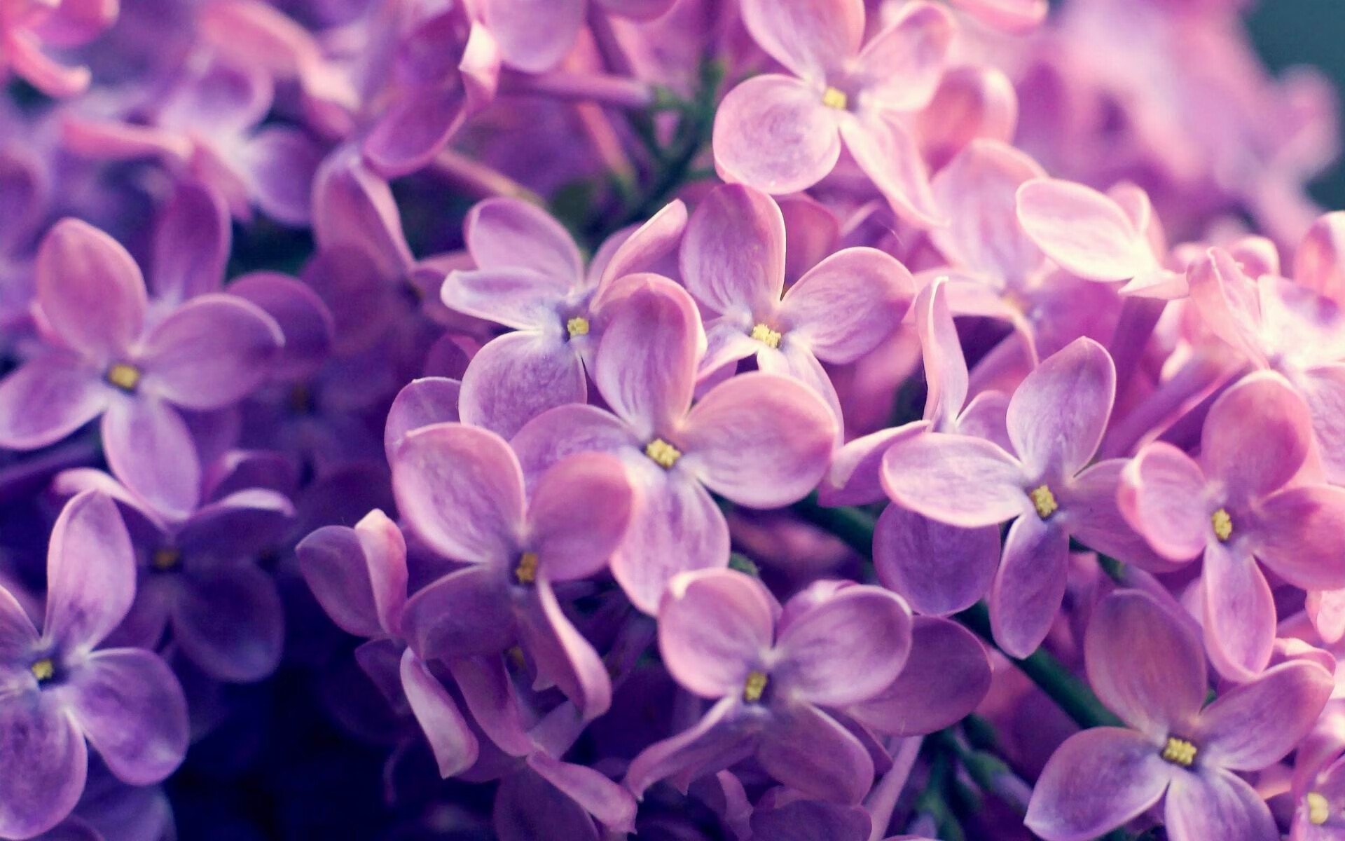 孤岛之战,雷霆在麦迪逊逆袭尼克斯,揭示现代篮球的生存法则