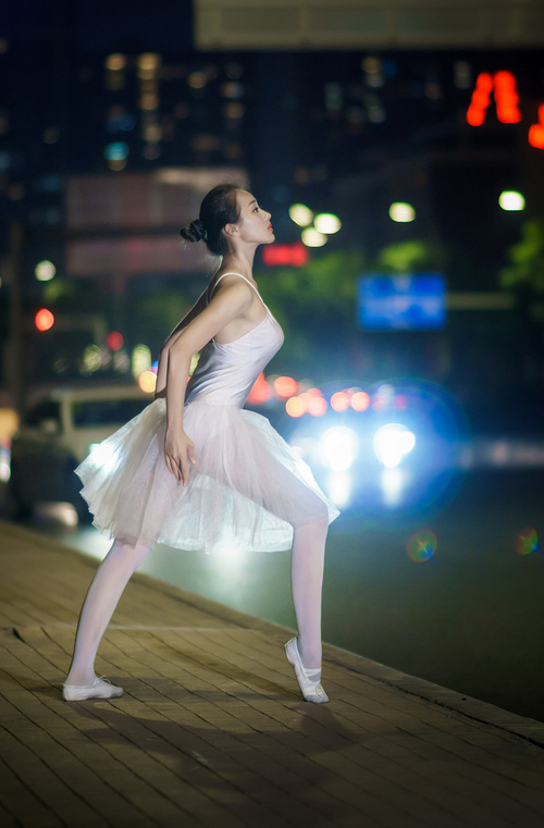 平行世界的终极战书，当天山雪豹迎战南海烈焰