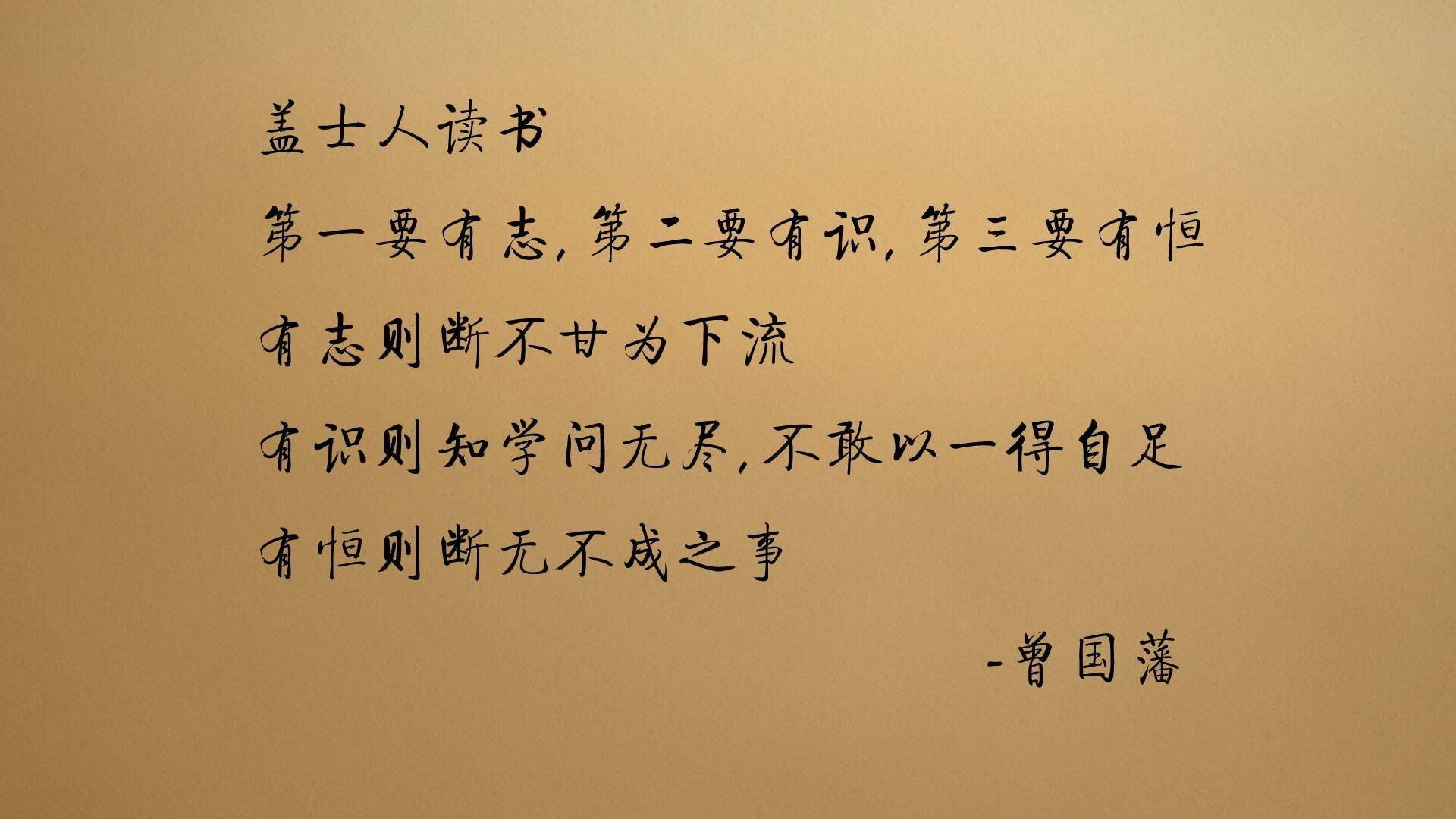 铁血少年与中北美黑马,加维的意志力,如何在2026世界杯D组焦点战中碾压阿联酋